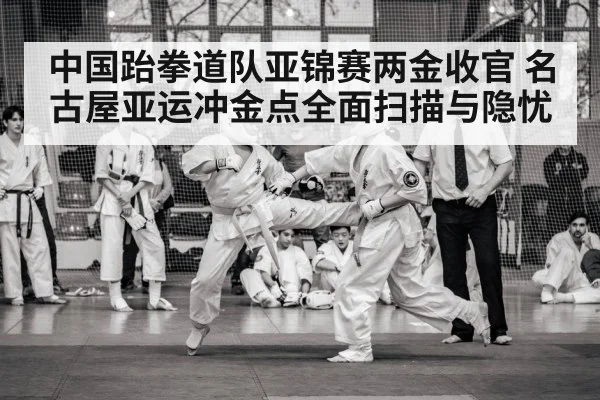 中国跆拳道队亚锦赛两金收官 名古屋亚运冲金点全面扫描与隐忧